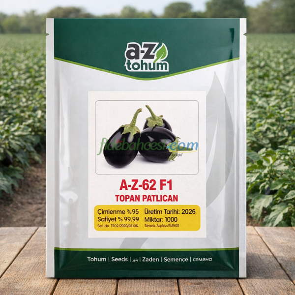 A-Z-62-F1 Topan Patlıcan Tohumu