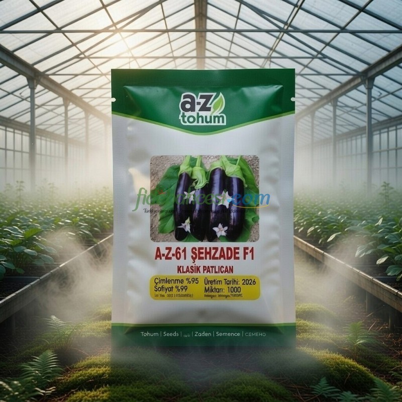 Şehzade F1 Uzun Patlıcan Tohumu