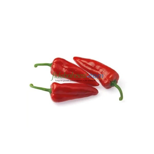 Belissa F1 Kapya Biber Fidesi - Görsel 2