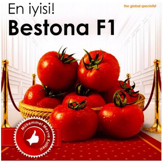 Bestona F1 Sırık Domates Fidesi