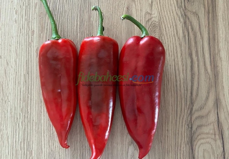 Bolveren F1 Kapya Biber Tohumu - Görsel 4