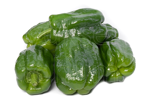 Gazi F1 Dolma Biber Fidesi