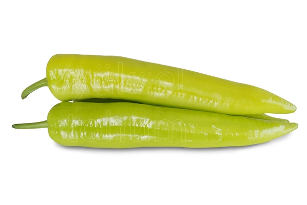 Lidya F1 Biber Fidesi