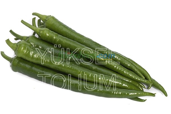 Mostar F1 Sivri Biber Fidesi