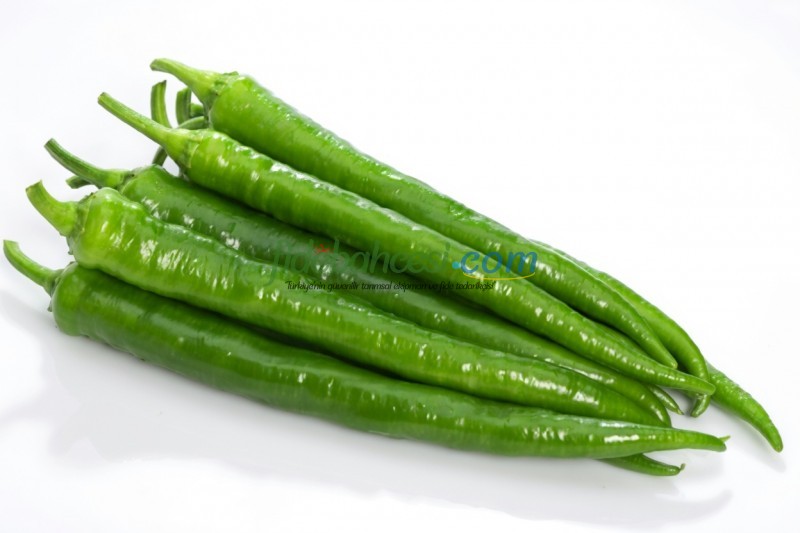 Takıl F1 Kıl Biber Fidesi