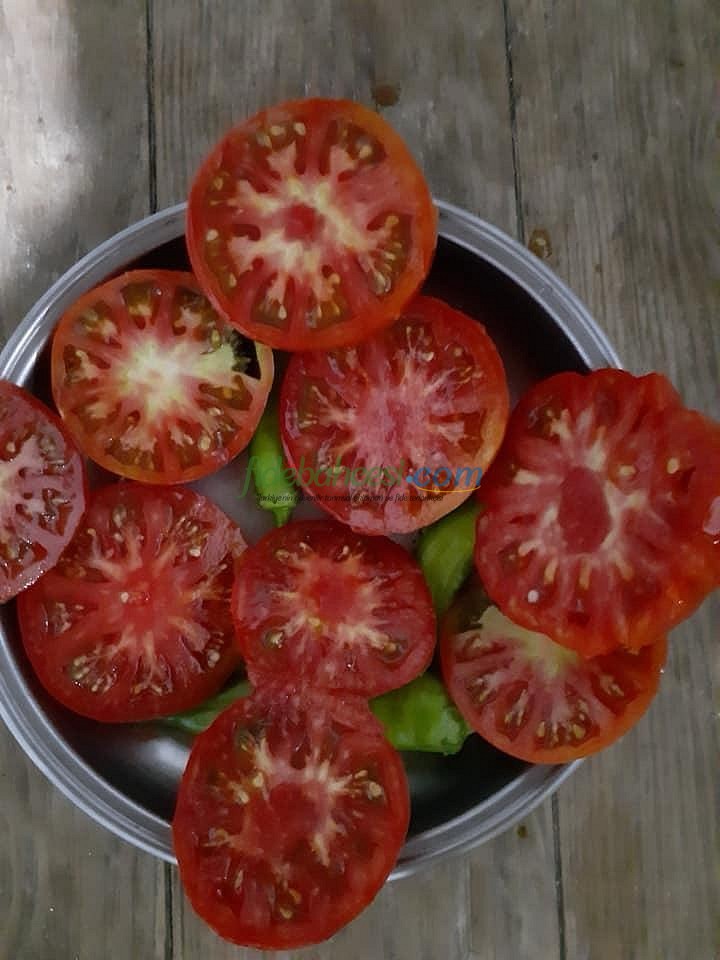 Yıldızköy F1 Domates Tohumu - Görsel 2