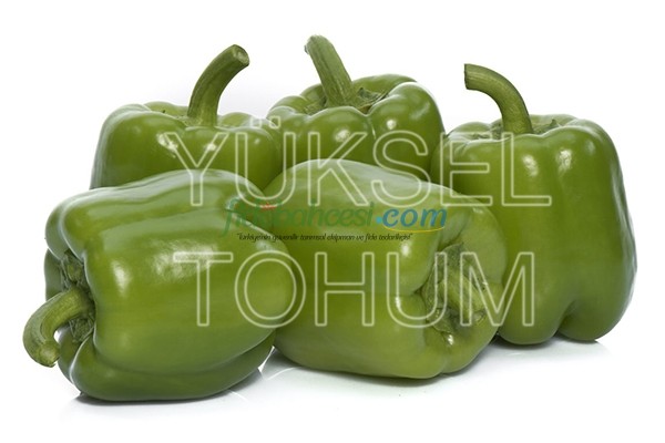 Zafer F1 Dolma Biber Fidesi